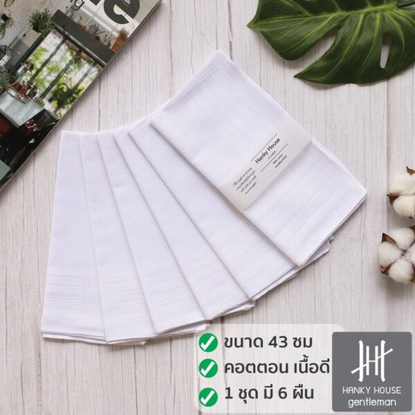 Hanky House ผ้าเช็ดหน้า ผู้ชาย สีขาวล้วนผ้าทอ ชุด 6 ผืน 100%คอตตอน ขนาด 43x43ซม. ผ้าเช็ดหน้าชาย สีขาว H_SDset6_White