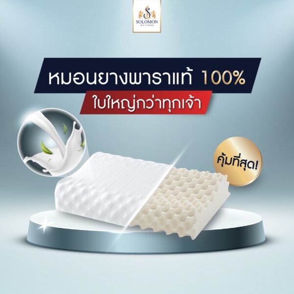 Solomon mattress หมอนยางพารา 7 โซน ธรรมชาติ 100%  1 ใบ สีขาว