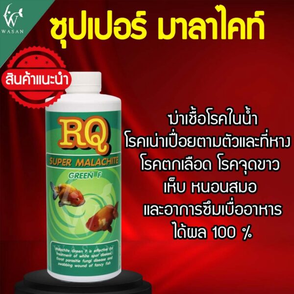 RQ SUPER MALACHITE GREEN F ซุปเปอร์มาลาไคท์กรีนเอฟขนาด 500 มล. ฆ่าเชื้อโรคในน้ำ เน่าเปื่อย ตกเลือด จุดขาว รักษาอาการป่วย