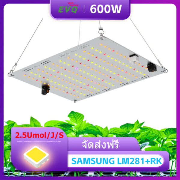 Full Spectrum LED Grow Light 600W ไฟปลุกต้นไม้ ไฟช่วยต้นไม้โตเร็ว แสงขาว แสงธรรมชาติ มีสวิตช์ปิดเปิด สายไฟยาว1.8โมต