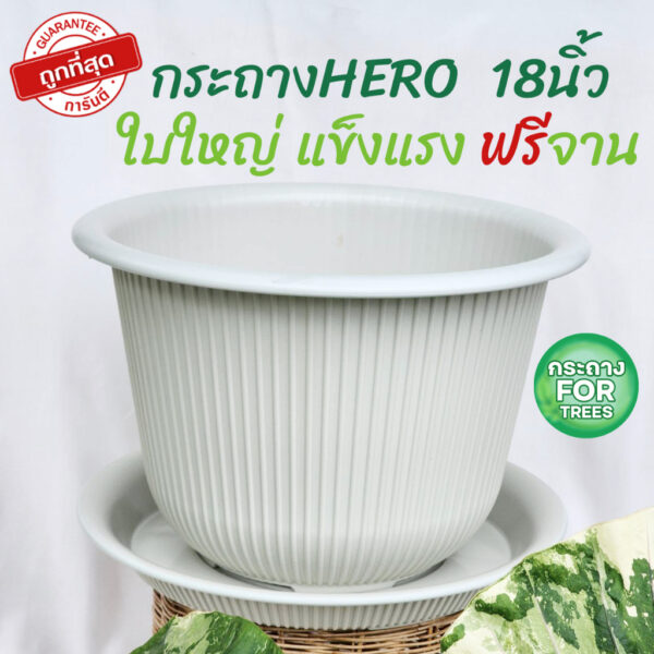 รุ่นใหม่กระถาง Hero กระถางสีขาวพลาสติกหนามาก มินิมอลขนาด 18นิ้ว ฟรีจานรอง ราคาถูก