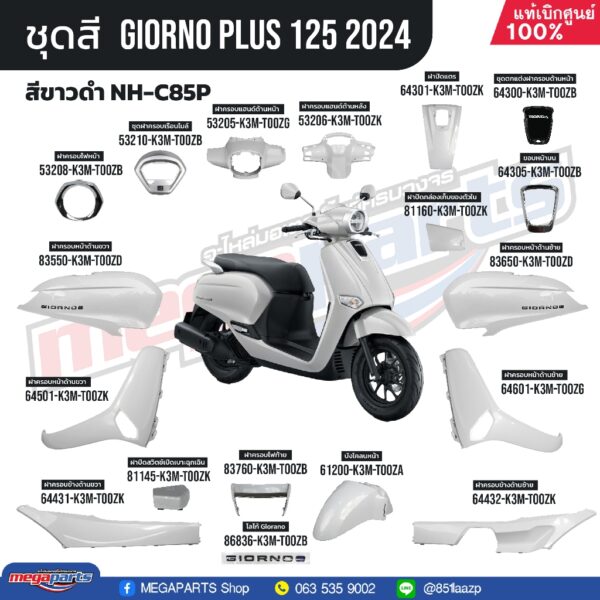 ชุดสี HONDA GIORNO 2024 สีขาว NH-C85P สตาร์ตมือ ล้อแม็ก ดิสก์เบรกหน้า CBS แท้เบิกศูนย์ฮอนด้า 100% (Megaparts Store)