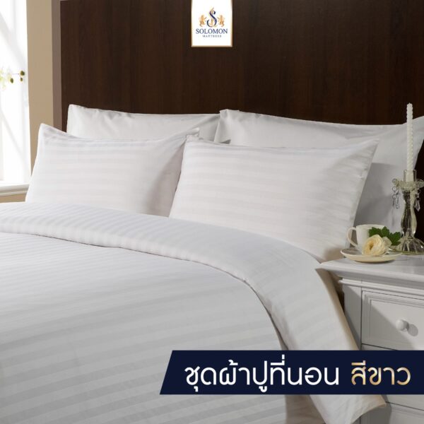 Solomon Mattress ผ้าปูที่นอน ชุดผ้าปูที่นอน ชุดเครื่องนอน ผ้าปู  ปลอกหมอน สีขาว