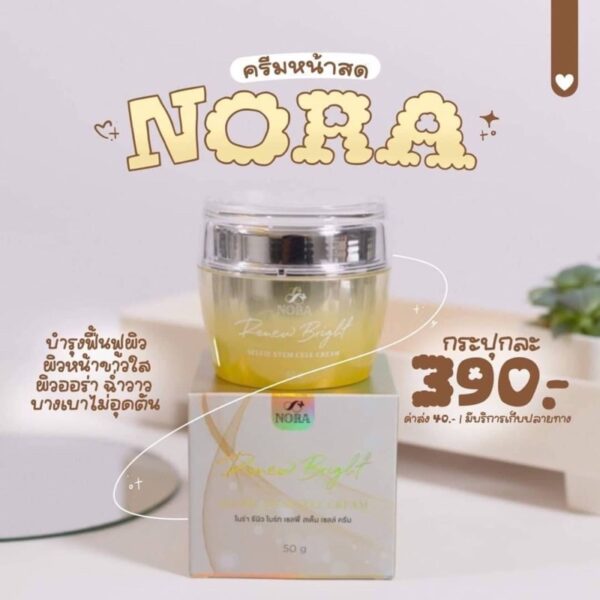 แท้  Nora stem cell ครีมโนร่าหน้าสด(สูตรใหม่)หน้าเด็ก ผิวขาวใส